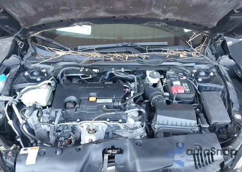 2019 Honda Civic Sport z USA, uszkodzony, nr VIN 19XFC2F84KE201646